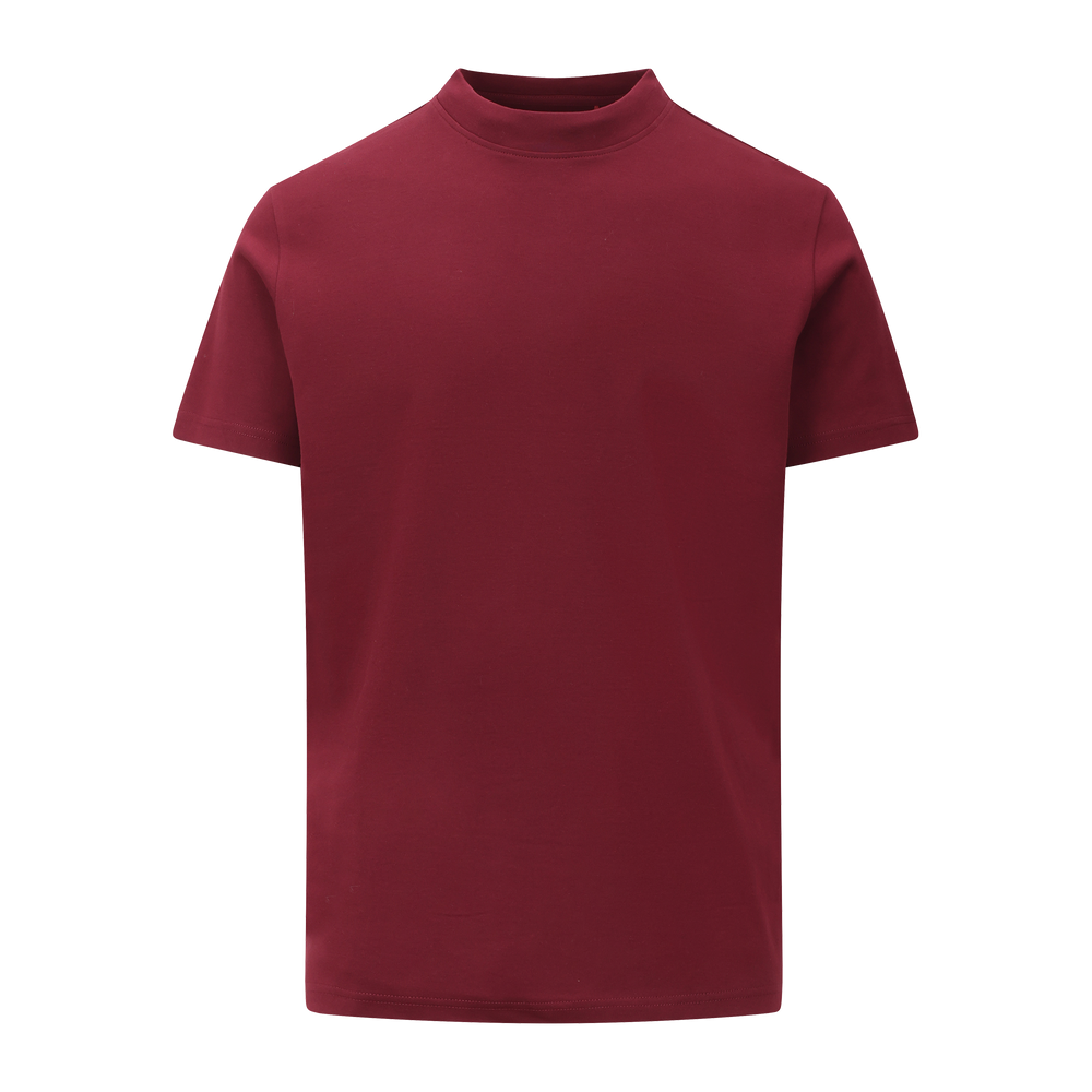 Urban Pioneers Male Bruno Tee T-SHIRT