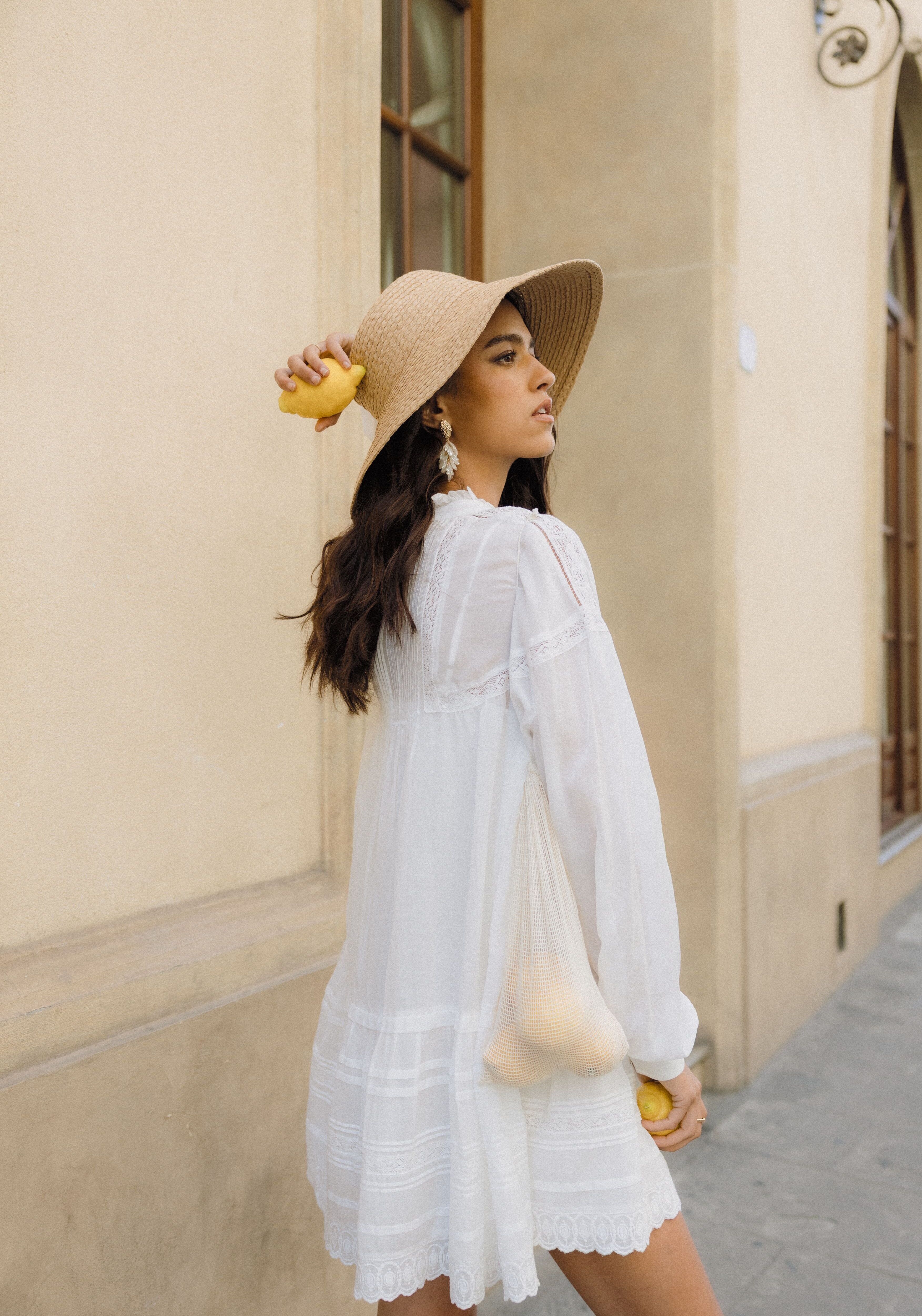 zelmira linen dress Zelmira Dress